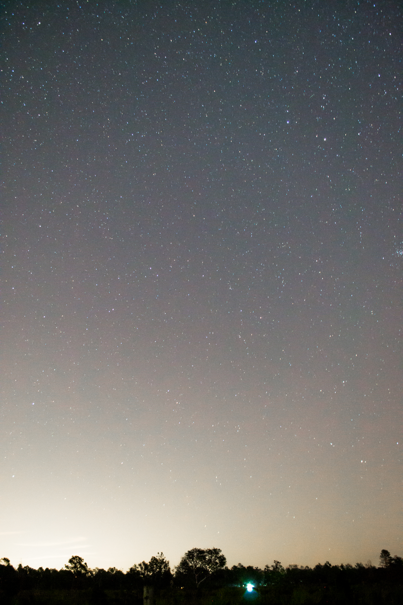 Illustration for article titled Geminids!